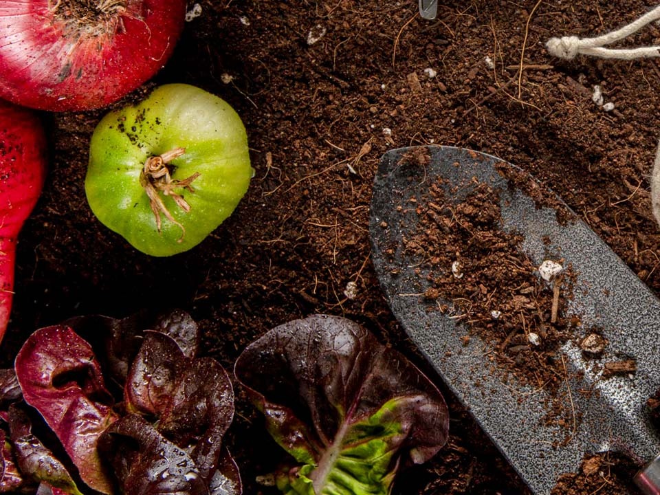 Gübrə satışları